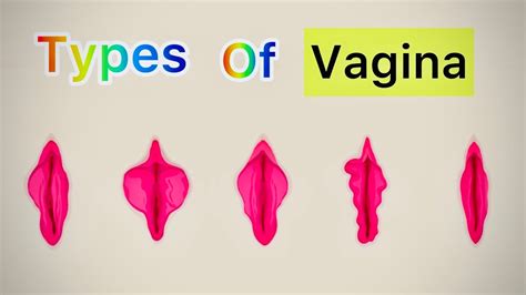 formas de chochos|9 tipos de vulva, según la forma de los labios vaginales